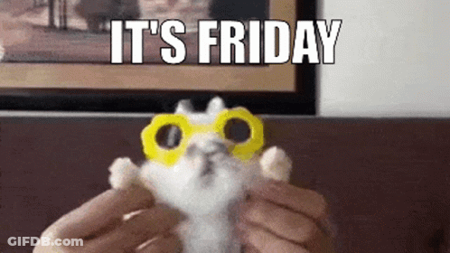 Person Holding Stuffed Animal Saying It's Friday GIF