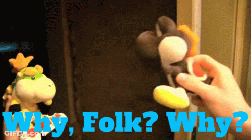 Person Holding Stuffed Animal Saying Why Folk Why GIF
