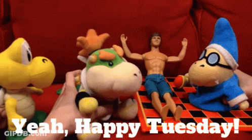 Person Holding Stuffed Animal Saying Yeah Happy Tuesday GIF