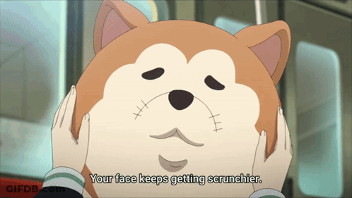 Person Holding Stuffed Animal Your Face Keeps Getting Scrunchier GIF
