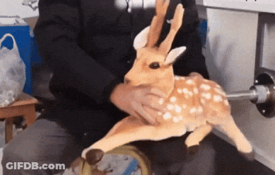 Person Holding Stuffed Deer GIF