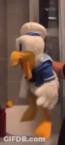 Person Holding Stuffed Donald Duck GIF