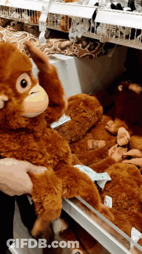 Person Holding Stuffed Monkey GIF