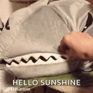 Person Holding Stuffed Shark Saying Hello Sunshine GIF