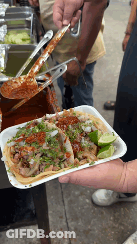 Person Holding Styrofoam Tray Of Tacos GIF