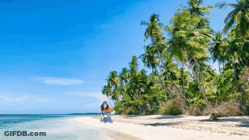 Person Holding Surfboard On Tropical Beach GIF