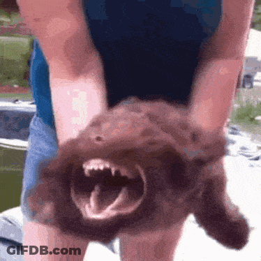 Person Holding Suzuki Key Fob GIF