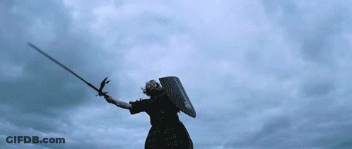 Person Holding Sword And Shield GIF