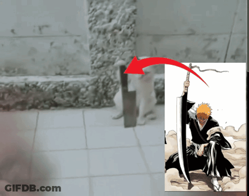 Person Holding Sword Next To Cat GIF