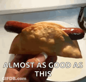 Person Holding Taco And Hot Dog GIF