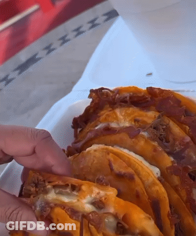 Person Holding Taco With Cheese GIF
