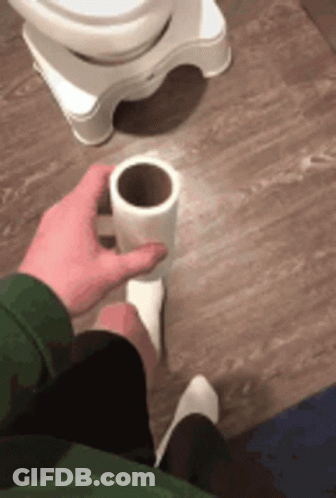 Person Holding Toilet Paper GIF