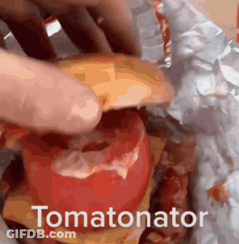 Person Holding Tomato With Tomatonator GIF