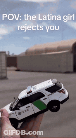 Person Holding Toy Police Car Saying Border Patrol GIF