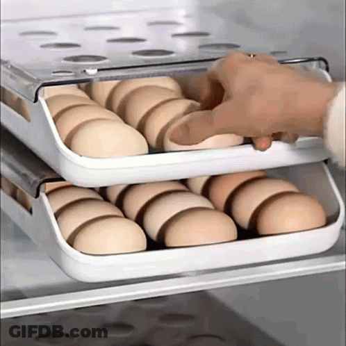 Person Holding Tray Of Eggs GIF