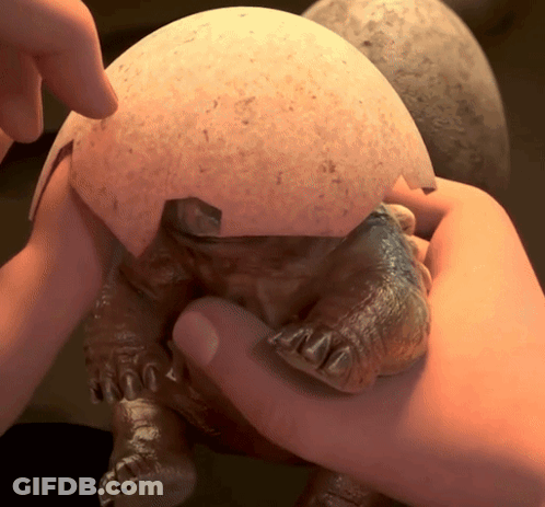 Person Holding Turtle With Large Egg GIF