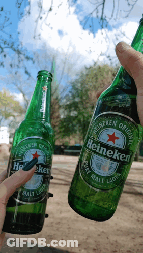 Person Holding Two Heineken Bottles GIF