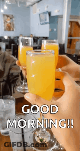 Person Holding Two Orange Juice Glasses Good Morning GIF