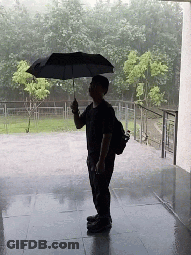 Person Holding Umbrella In Rain GIF