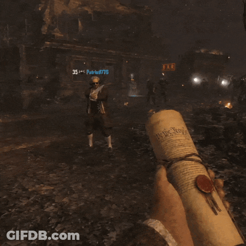 Person Holding US Constitution GIF