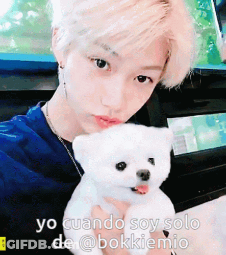 Person Holding White Bear Yo Cuando Soy Solo De @Bokkiemio GIF