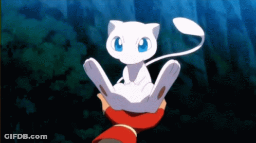 Person Holding White Cat GIF