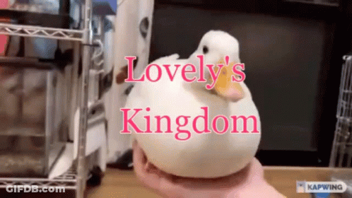 Person Holding White Duck With Lovely S Kingdom GIF