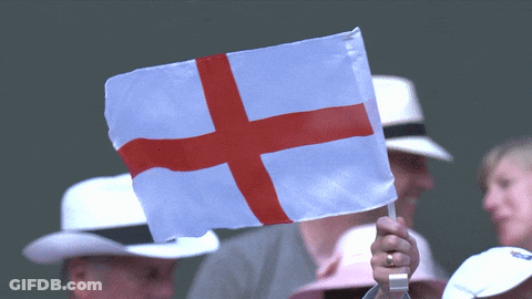 Person Holding White Flag With Red Cross GIF