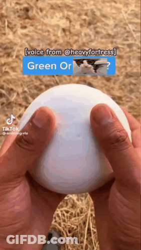 Person Holding White Green Yellow Egg GIF