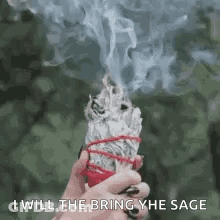 Person Holding White Sage Stick With Smoke GIF