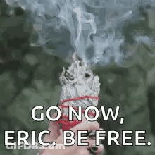 Person Holding White Sage With Smoke GIF