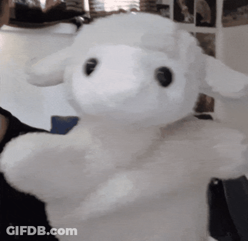 Person Holding White Stuffed Sheep With Black Eyes GIF