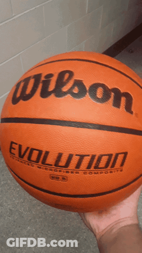 Person Holding Wilson Evolution Basketball GIF