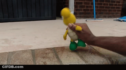 Person Holding Yellow And Green Stuffed Animal GIF