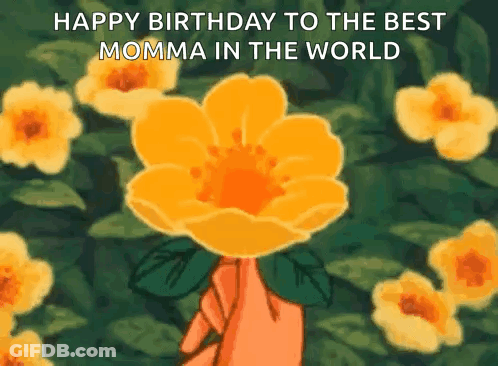 Person Holding Yellow Flower GIF