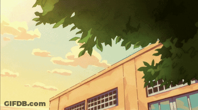 Person Holding Yellow Flower With Green Leaves GIF