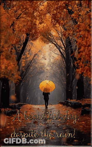 Person Holding Yellow Umbrella In Rain GIF