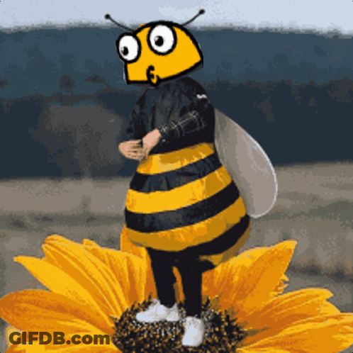 Person In Bee Costume On Sunflower GIF