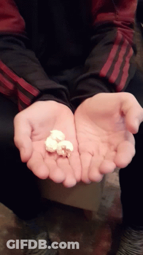 Person In Black And Red Adidas Jacket Holding White Object GIF