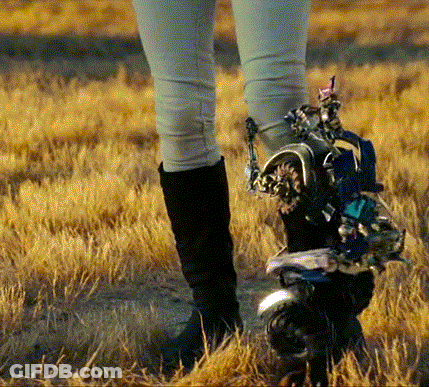 Person In Black Boots Standing In Tall Grass GIF