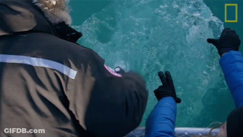 Person In Black Canada Goose Jacket GIF