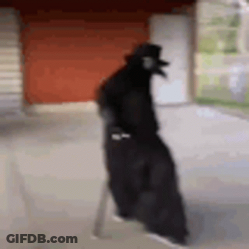 Person In Black Cloak And Hat Walking Down Sidewalk GIF