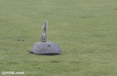 Person In Black Hoodie And Green Shorts Running On Sidewalk GIF