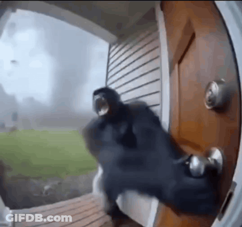 Person In Black Jacket Standing In Front Of Door GIF