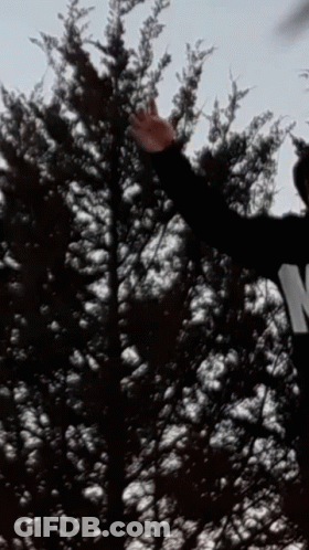 Person In Black Shirt With W Standing In Front Of Trees GIF