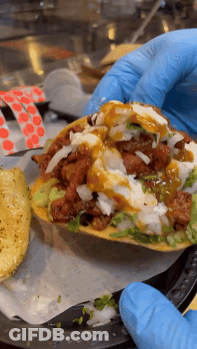 Person In Blue Gloves Holding Taco GIF