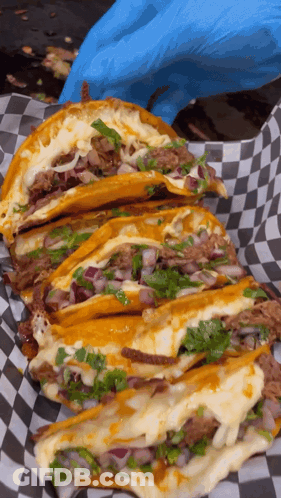 Person In Blue Gloves Holding Tray Of Tacos On Checkered Paper GIF