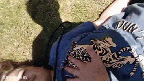 Person In Blue Tiger Shirt Lying On Back GIF