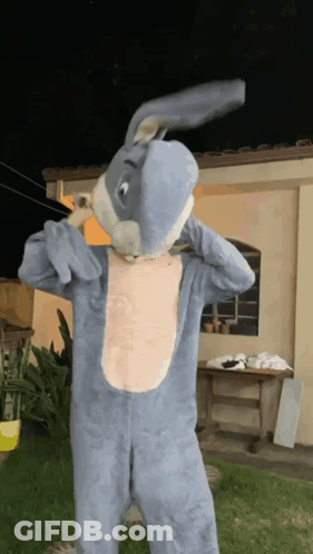 Person In Bunny Costume GIF