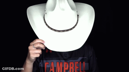 Person In Campbell Shirt Holding Cowboy Hat Over Face GIF